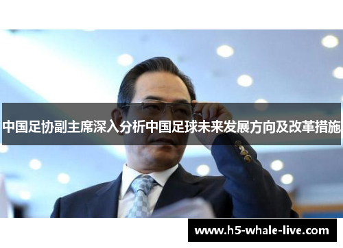中国足协副主席深入分析中国足球未来发展方向及改革措施