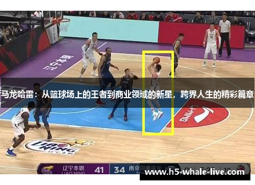 马龙哈雷:从篮球场上的王者到商业领域的新星,跨界人生的精彩篇章
