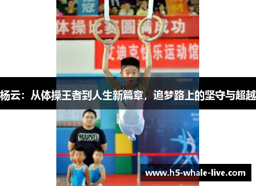 杨云:从体操王者到人生新篇章,追梦路上的坚守与超越