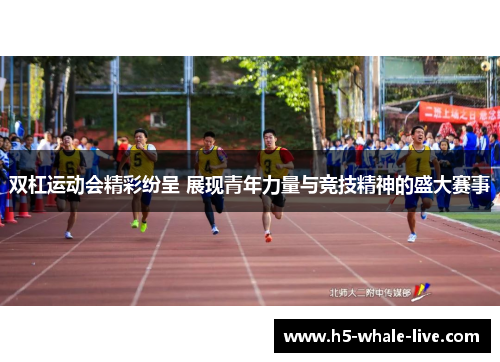 双杠运动会精彩纷呈 展现青年力量与竞技精神的盛大赛事
