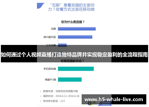 如何通过个人视频直播打造独特品牌并实现稳定盈利的全流程指南