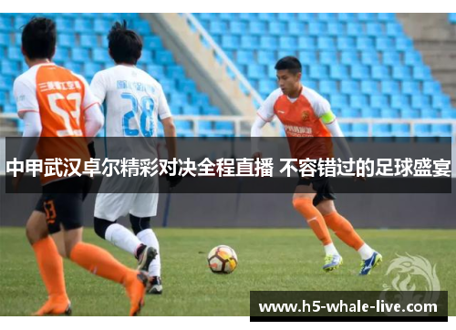 中甲武汉卓尔精彩对决全程直播 不容错过的足球盛宴